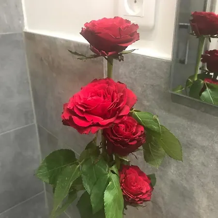 Kilauea לינה וארוחת בוקר 4*