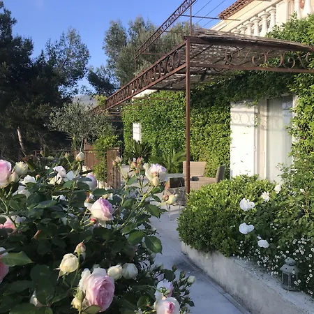 Kilauea Bed and Breakfast Νίκαια